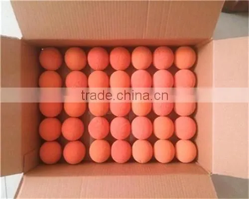High Quality Putzmeister Pump 6 Inch Clean Out Ball photo-6
