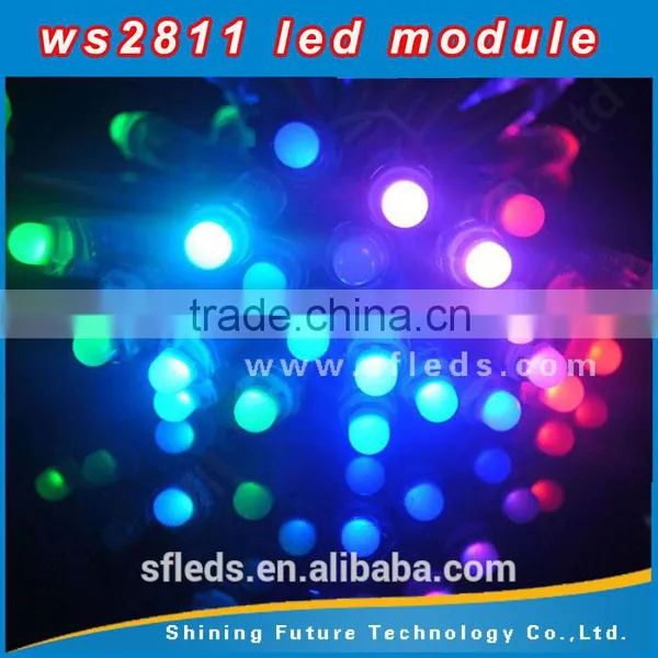 12V 12mm WS2811 Intelligent RGB Pixels IP68 Waterproof LED Light String photo-6