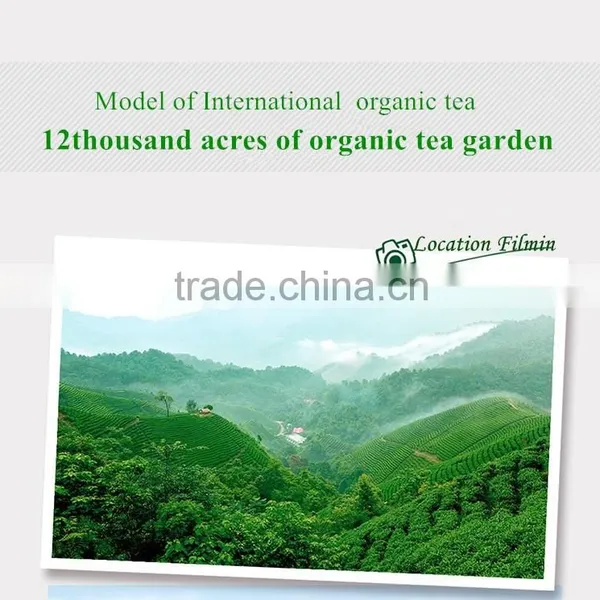 Cheap Chinese Black Tea Certified EU/US/JAPAN/CHINA Standard for Netherlands photo-5