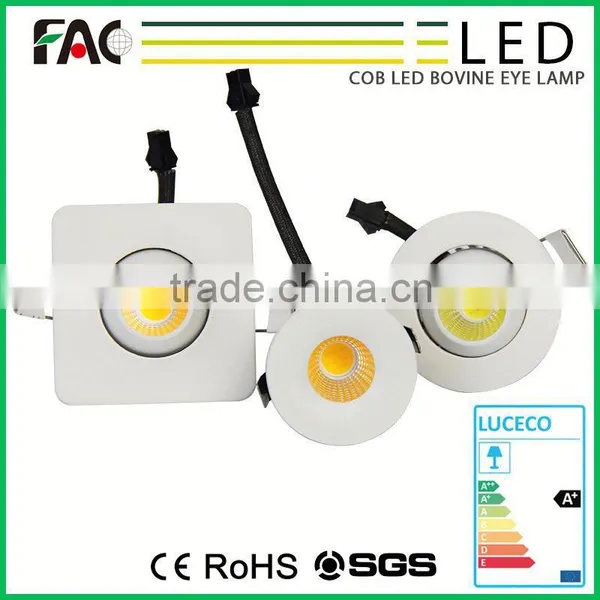 Germany Outdoor Cob Wireless Pin Spot Light photo-4