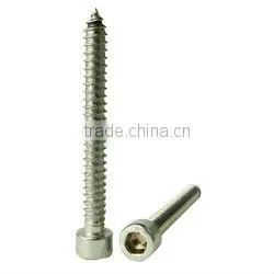 Stainless Steel Self Tapping Screw
