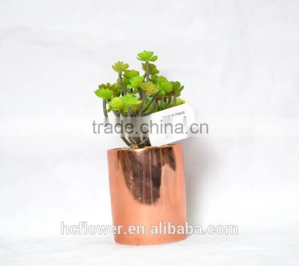 Lovely Artificial Succulent Greeny for Home Decoration