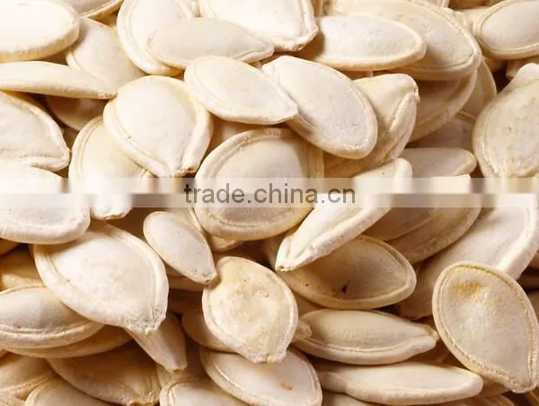 Pumpkin Seeds Available....