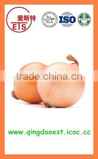 Bulk Chinese Best Quality Fresh Yellow Onion photo-4