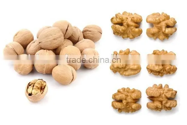 Chinese Supplier of Dried Walnut Kernel for Sale and With Best Quality Walnut for Hot Sale photo-3