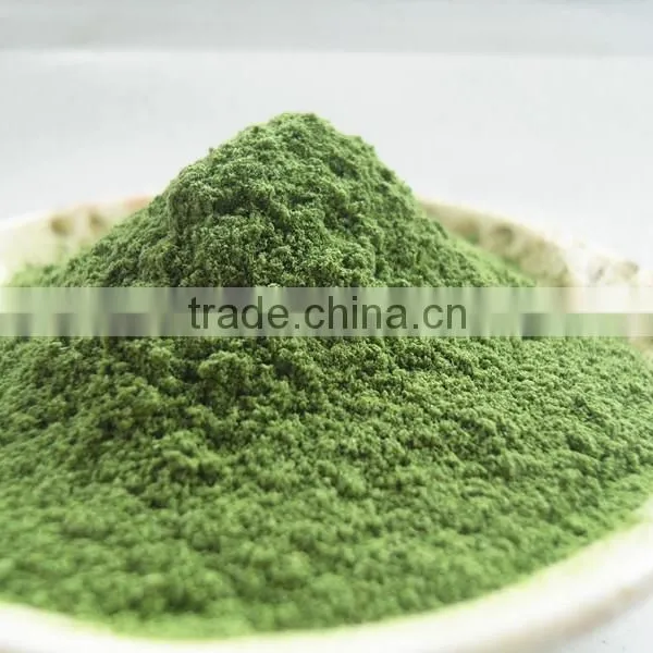 Dried Barley Grass Powder and Low Price Dried Barley Grass Powder