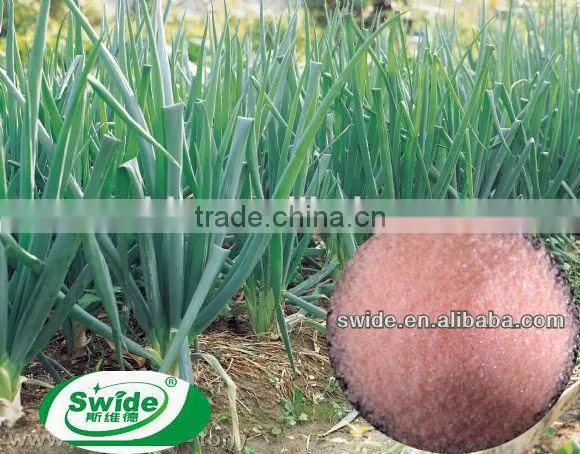Customized Good Prices Dried Seaweed Fertilizer photo-5