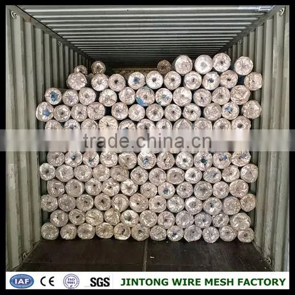 Hexagonal Wire Mesh Chicken Wire Price per Meter Chicken Wire Mesh Kenya photo-4