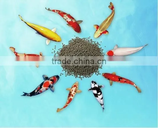 Fish Food Process Line photo-6