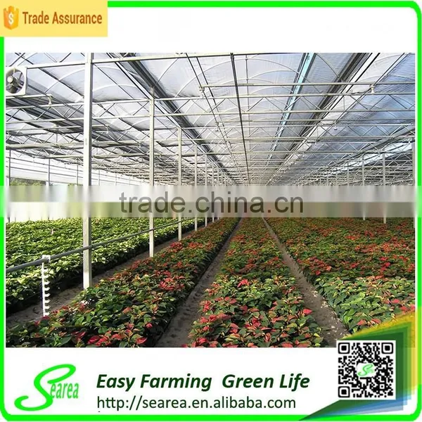 Agricultural Rodent Roof Green House for Flower photo-5
