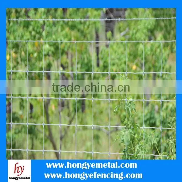 Low Price Hot Dipped Galvanized Grassland Fence photo-4