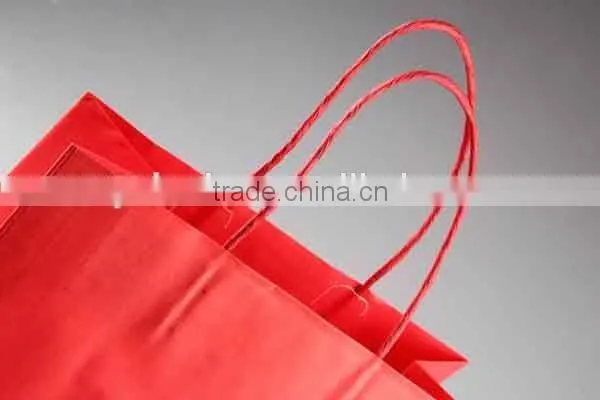 Foldable Gift Bag / Hot Sale Shopping Bag photo-6