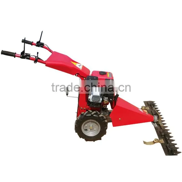 Self Propelled Lawn Mower in Grass Trimmer photo-5