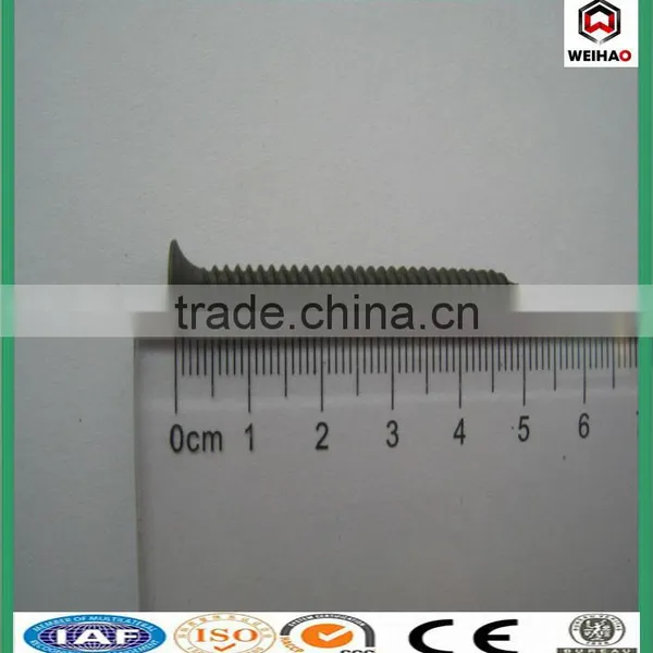 Bulgy Screw/collated Drywall Screws/galvanized Drywall Screw photo-4