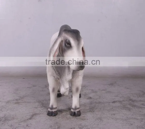 Definitive Brahman Looking Left photo-2