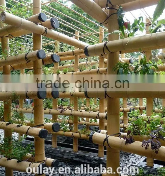Agriculture Bamboo Canes