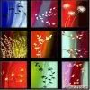 Decorative Oil Painting