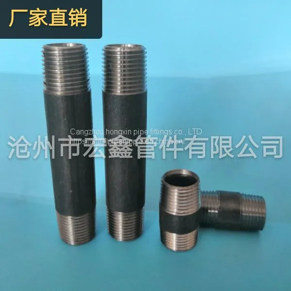 SCH 40 80 Steel Pipe Nipples and Sockets