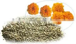 Marigold Pellet,Lutein Pellet