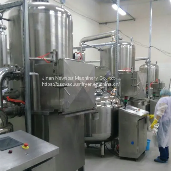 Vacuum Fried Fruit and Vegetables Chips Vacuum Frying Machine photo-2