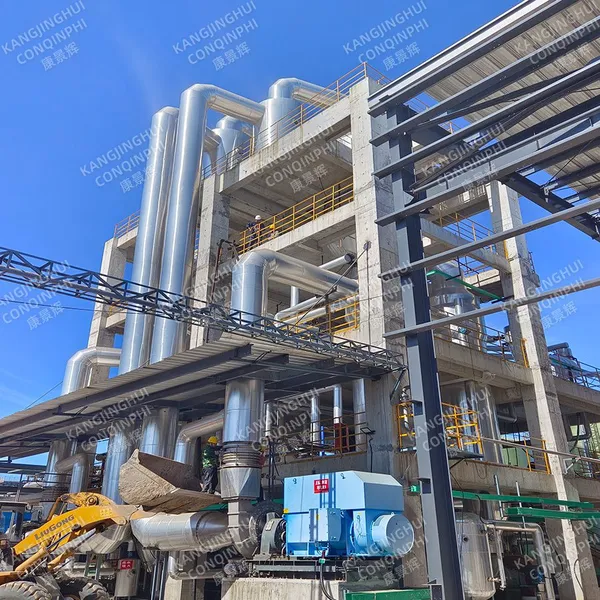 Single Multi Effect Low Temperature Juice Rising Falling Film Evaporator photo-4