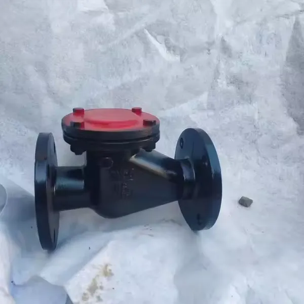 GB Swing Type Check Valve PN10 PN16 Grey Cast Iron HT200 Flange Metal Seal Factory Price Hot Selling Cast Ductile Iron GGG50 photo-6