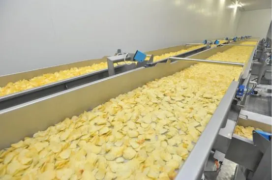 Semi-automatic Potato Chips Making Machine/ Frozen French Fries Production Line photo-6