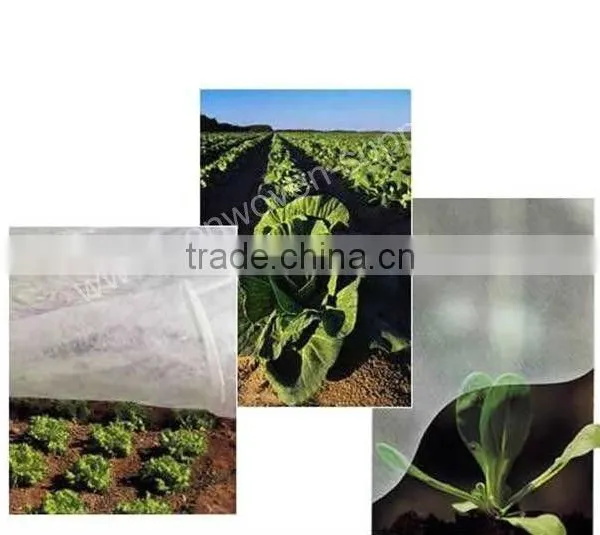 PP Agriculture Non-woven Crop Cover Wholesale photo-2