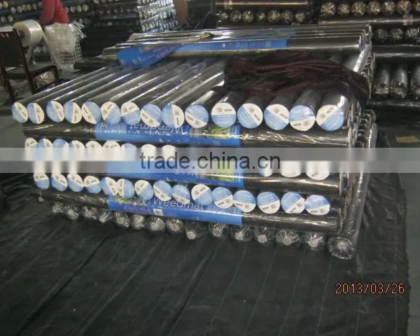 China pp Woven Weed Mat photo-3