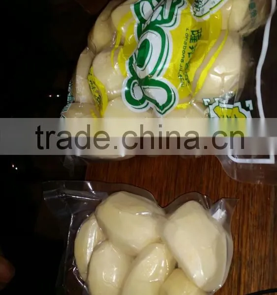 Food Grade Nylon Plastic Pouch Pickles Packaging Plastic Bag With Tear Notch/ Pickles Food Packing Bag photo-3
