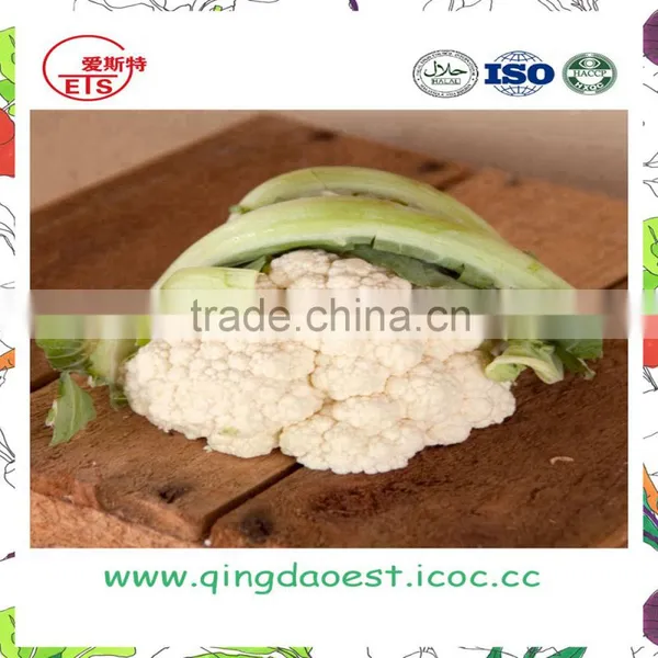 Harvest for Sale in Competitive Price Chinese Fresh Cauliflowers photo-2