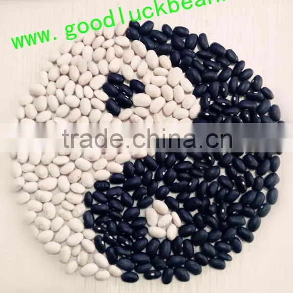 High Quality White/Black Pulse Beans photo-2
