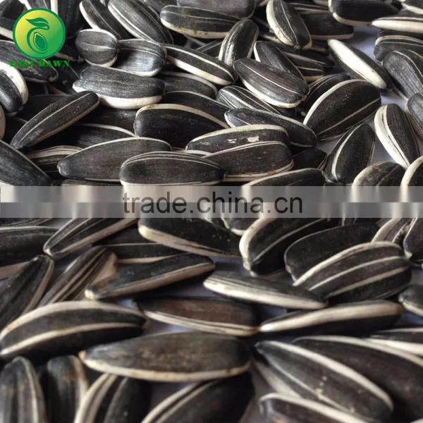 Whats App Sale Sunflower Seeds From China, Sunflower Animal Seed photo-2