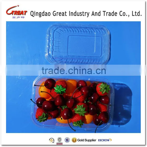 Disposable Blister Plastic Small Tomato Fruit Container Packaging Box photo-2