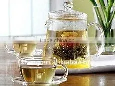 Clear Glass Tea Pot