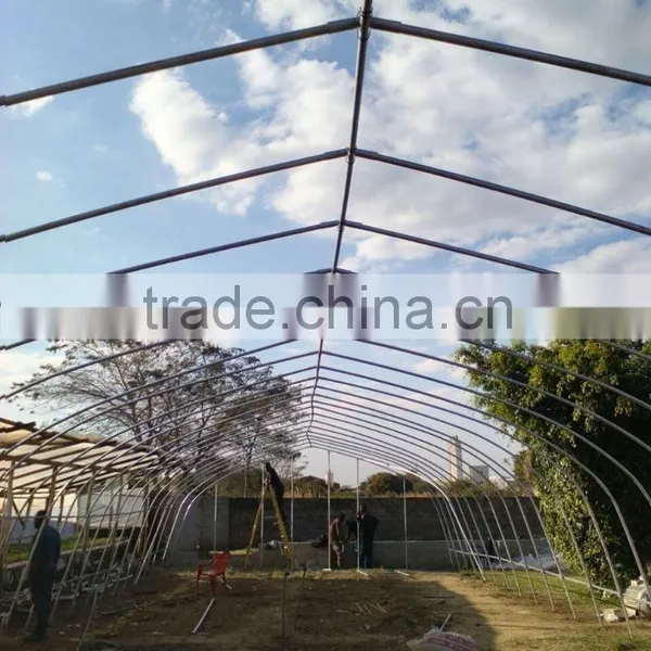 Cheap Single Span Plastic Greenhouse for Agriculture photo-6