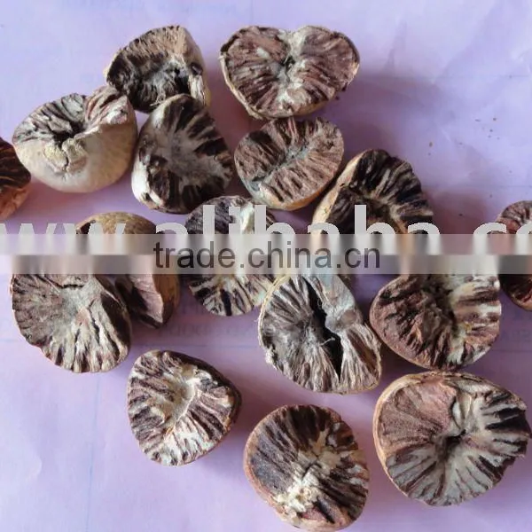 Betel Nut Split