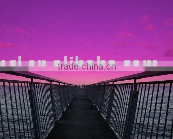 Shenzhen Shipping Cargo Company Full Container Shipment