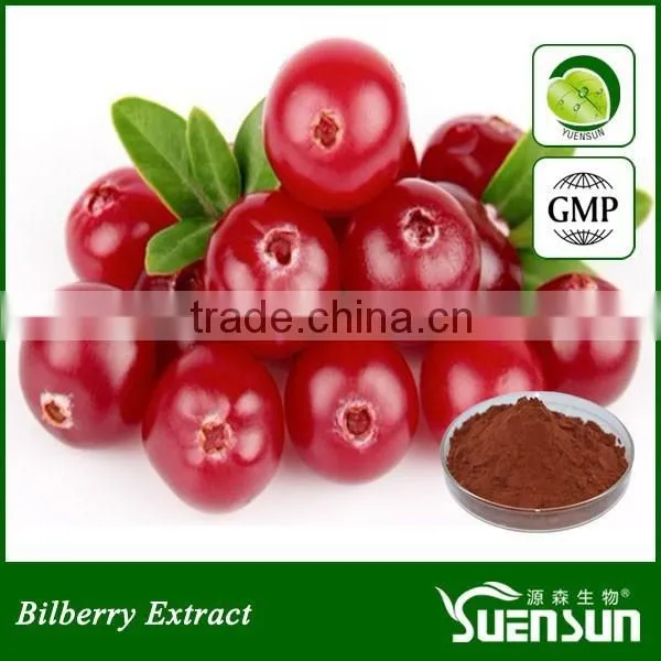 Cranberry Extract Powder Cranberry Extract From Professional Supplier