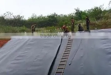 GM-13 US Standard HDPE Waterproofing Geomembrane