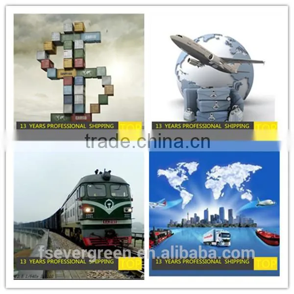 Shipping Company in Guangdong China , Shoes to TRIPOLI------whatsapp008613425737900 photo-6