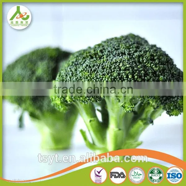 Delicious Health Chinese Frozen Fresh Frozen Broccoli Have a Good Sale in Bulk photo-6