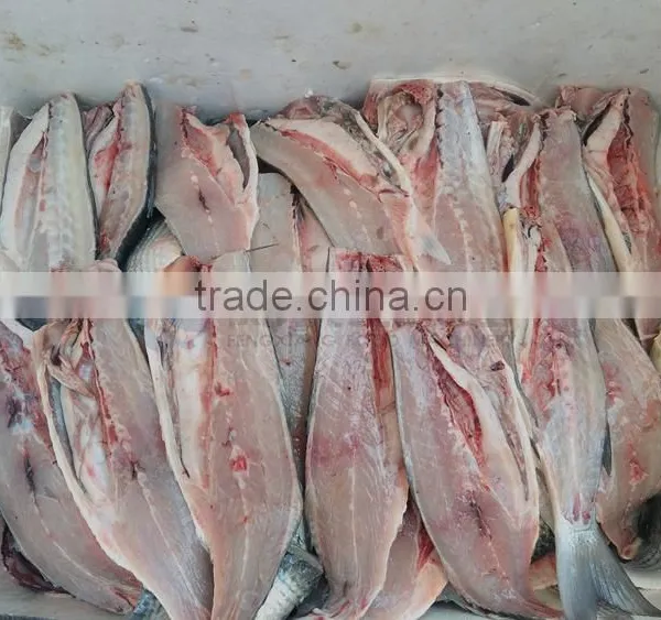 Industrial Automatic Tilapia Mullet Fish Cutting Fillet Splitting Machine photo-6