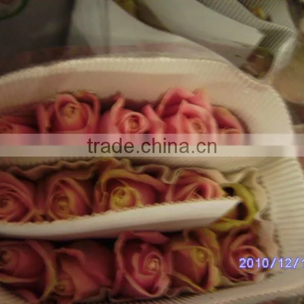 High Grade Fresh Cut Flowers Rose Wholesale From Flower Planting Base photo-4