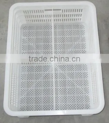 Plastic Turnover Box for Chickens photo-3