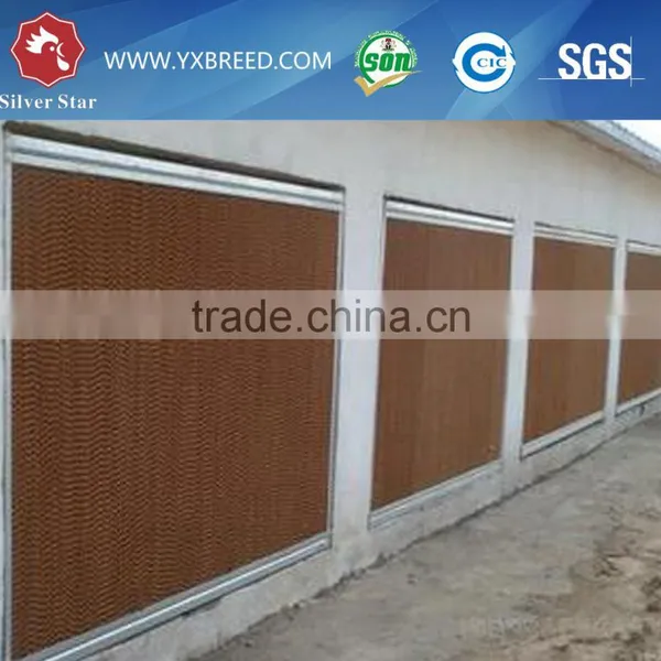 Baby Chicken Hen House Cage for Nigeria Growing Layers photo-3