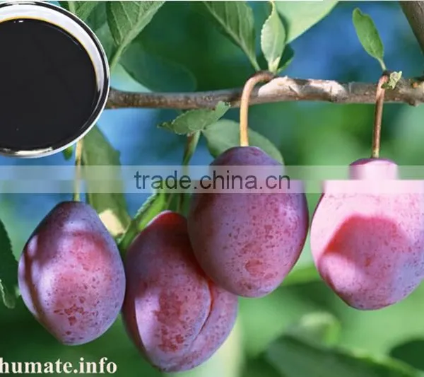 Brands of Organic Fertilizer Amino Acid Liquid photo-5