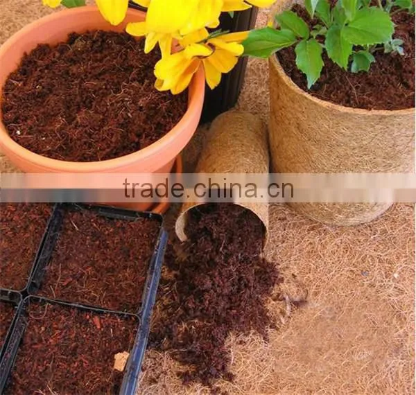 6 Ton per Hour High Moisture Content 80% Cocopeat Dryer/coco Peat Drying Machine With Good Drying Efficiency photo-5