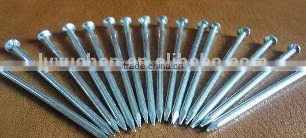 Whole Sales China Manufacturer Galvanized Steel Concrete Nail photo-6