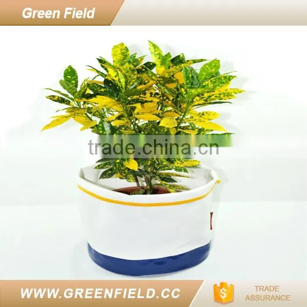 Canvas Herb Planter Pots Cheap Plant Pot 2017 New Arrrivals photo-2